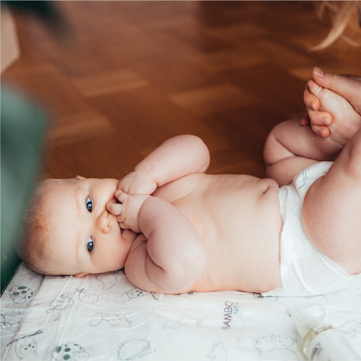 Bambo Nature Wipes & Changing Mats & Gloves Banner